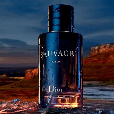 dupe for dior sauvage|sauvage dior knock off.